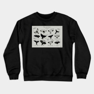 Fluke ID Chart Crewneck Sweatshirt